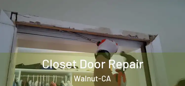  Closet Door Repair Walnut-CA