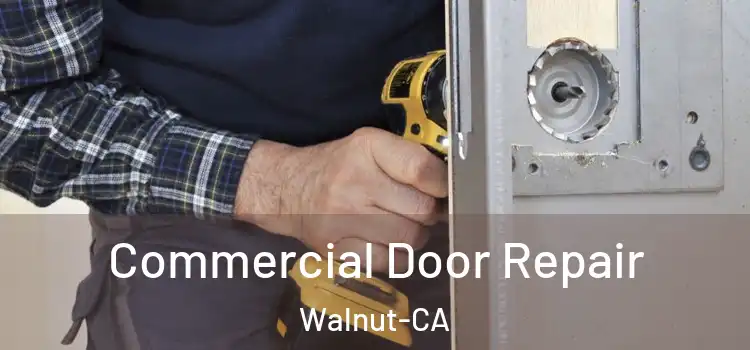 Commercial Door Repair Walnut-CA