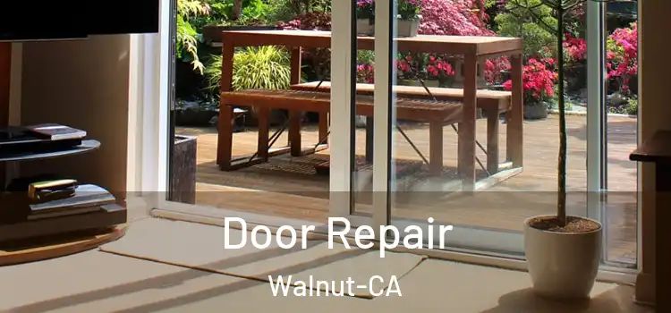  Door Repair Walnut-CA