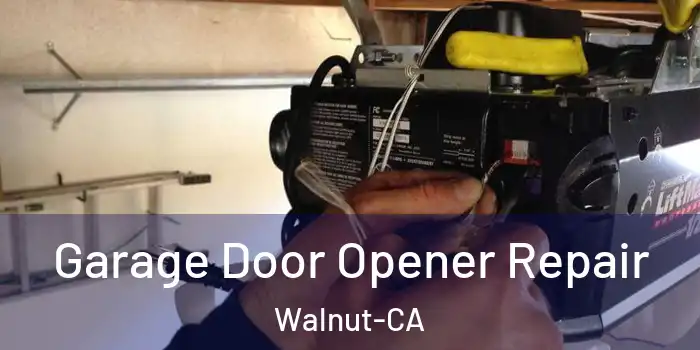 Garage Door Opener Repair Walnut-CA
