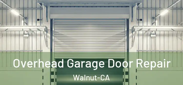 Overhead Garage Door Repair Walnut-CA