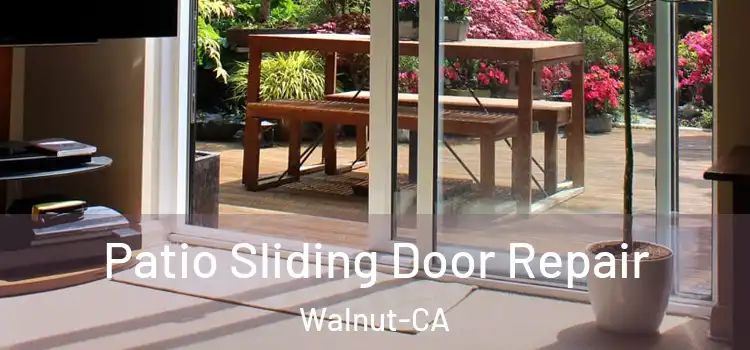 Patio Sliding Door Repair Walnut-CA