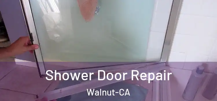 Shower Door Repair Walnut-CA