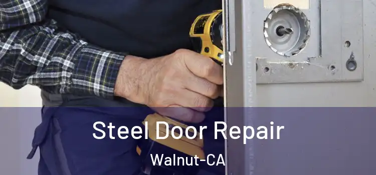  Steel Door Repair Walnut-CA